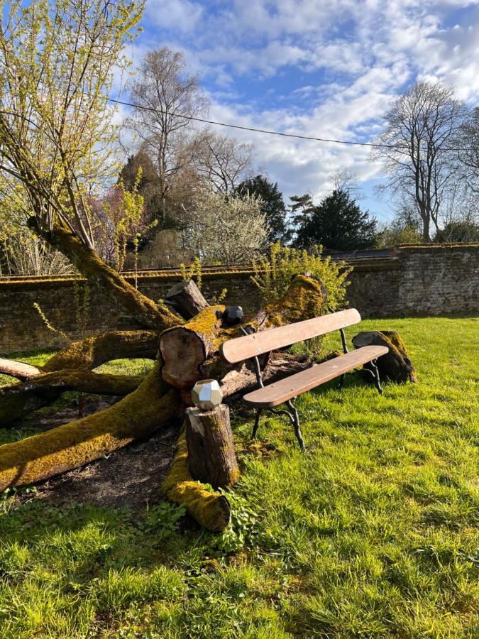 Domaine Des Anges Bed and Breakfast Avesnes-sur-Helpe Exteriör bild